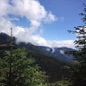 Meet your Posher, Brianna